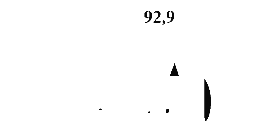 Mega FM 92.9 — The Hit Station